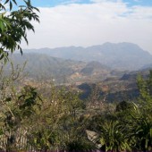 Lô đất Tả Phìn,Thung lũng săn mây,View ruộng bậc thang,1200m2 , đất tả luy dương, gần nhiều homestay!